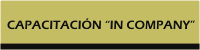 Capacitaci&oacute;n 'in company'